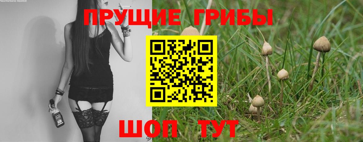 Галлюциногенные грибы Cubensis  Вход с VPN  Калуга 